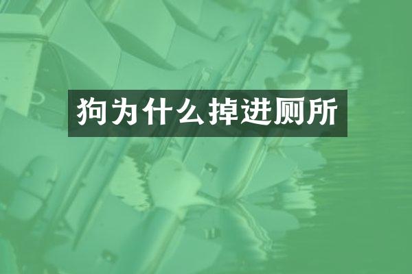 狗为什么掉进厕所