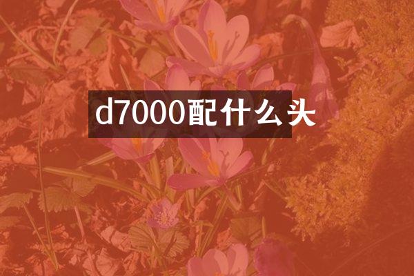 d7000头