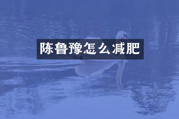 陈鲁豫怎么减肥