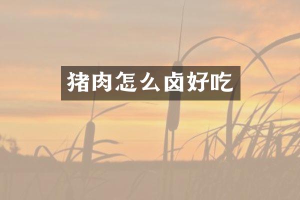 猪肉怎么卤好吃