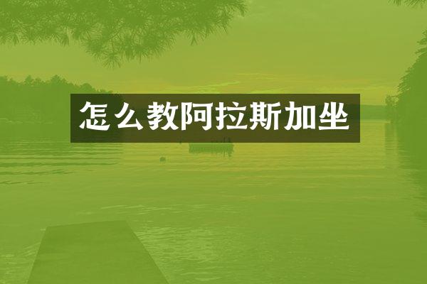 怎么教阿拉斯加坐