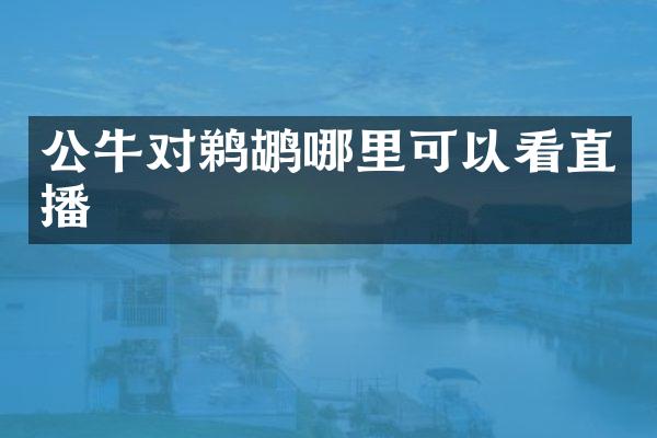 公牛对鹈鹕哪里可以看直播