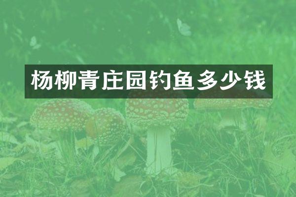 杨柳青庄园钓鱼多少钱