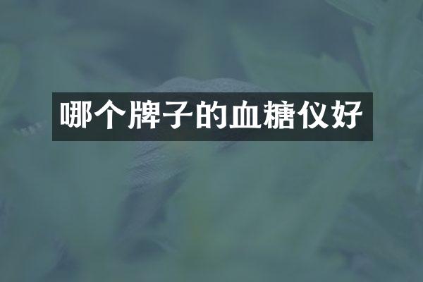 哪个牌子的血糖仪好