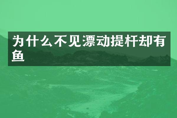 为什么不见漂动提杆却有鱼