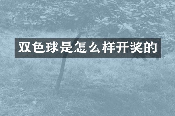 双色球是怎么样开奖的