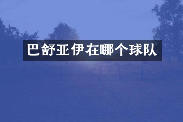 巴舒亚伊在哪个球队