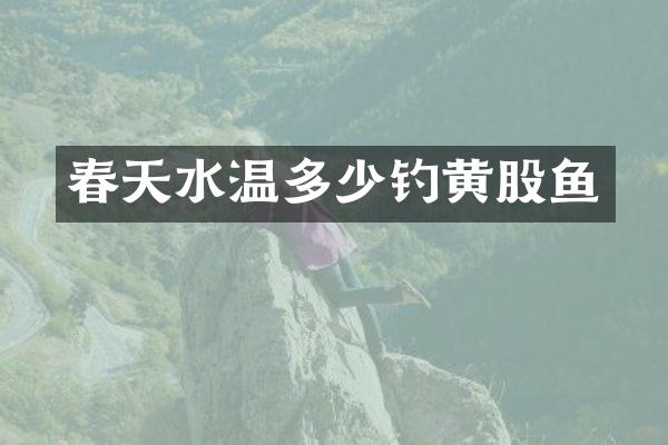 春天水温多少钓黄股鱼