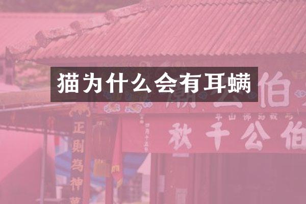 猫为什么会有耳螨