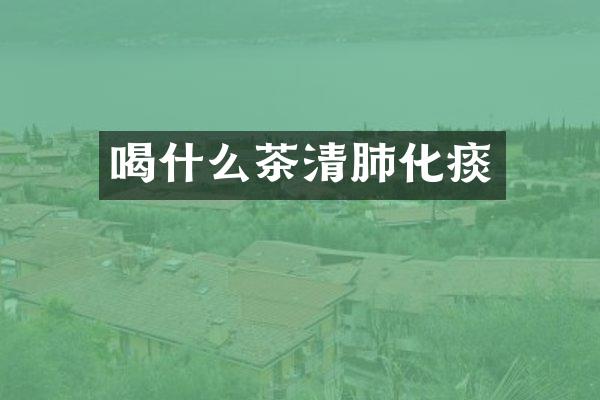 喝什么茶清肺化痰