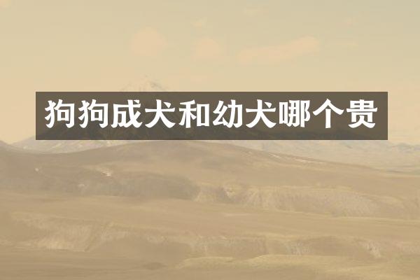 狗狗成犬和幼犬哪个贵