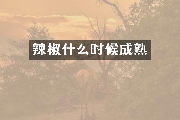 辣椒什么时候成熟