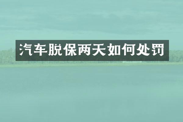 汽车脱保两天如何处罚