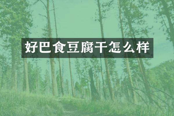 好巴食豆腐干怎么样
