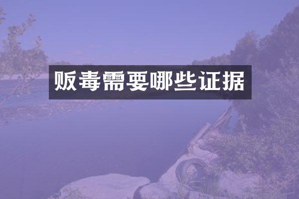 需要哪些证据