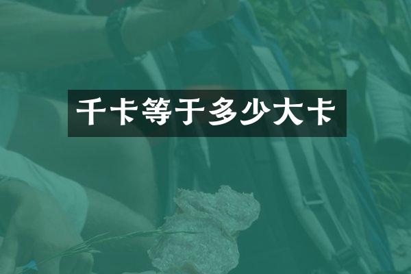 千卡等于多少大卡
