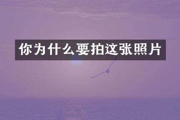 你为什么要拍这张照片