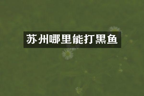 苏州哪里能打黑鱼