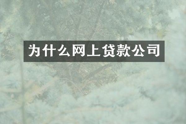 为什么网上贷款公司