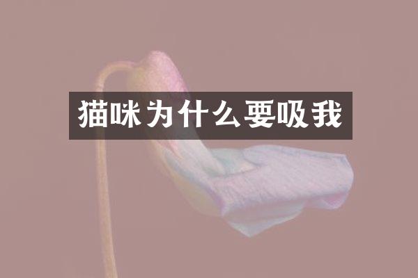 猫咪为什么要吸我