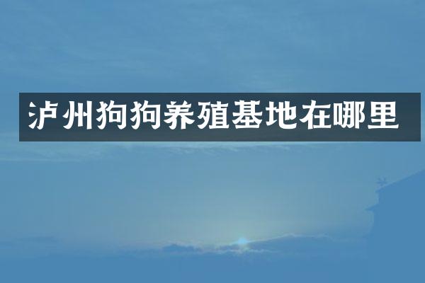 泸州狗狗养殖基地在哪里