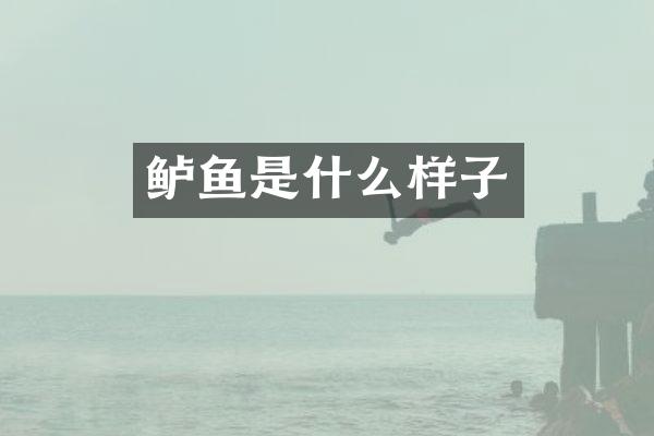 鲈鱼是什么样子