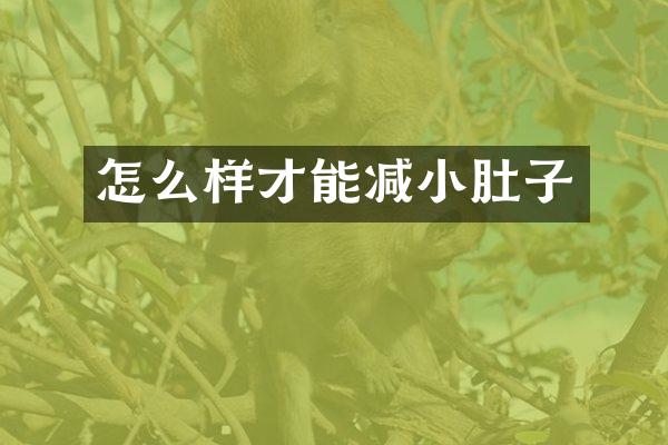 怎么样才能减小肚子