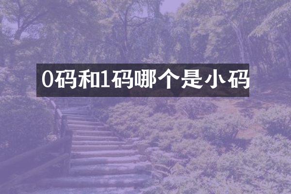 0码和1码哪个是小码