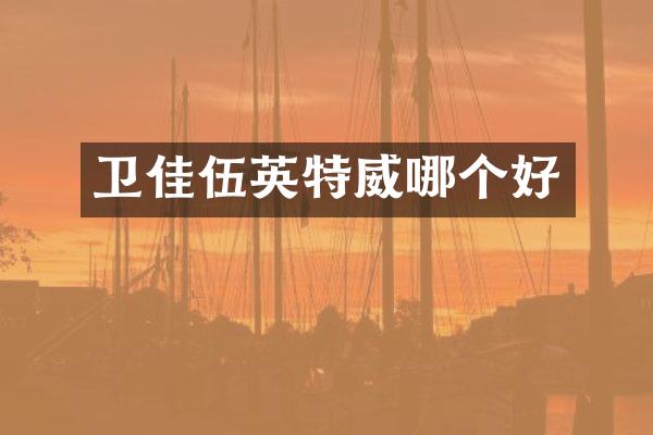 卫佳伍英特威哪个好