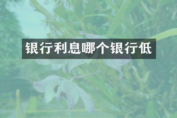 银行利息哪个银行低
