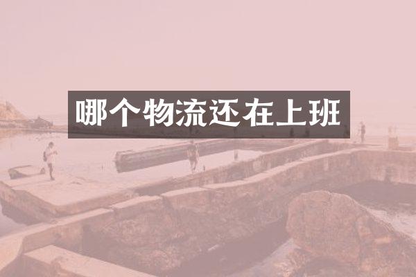 哪个物流还在上班