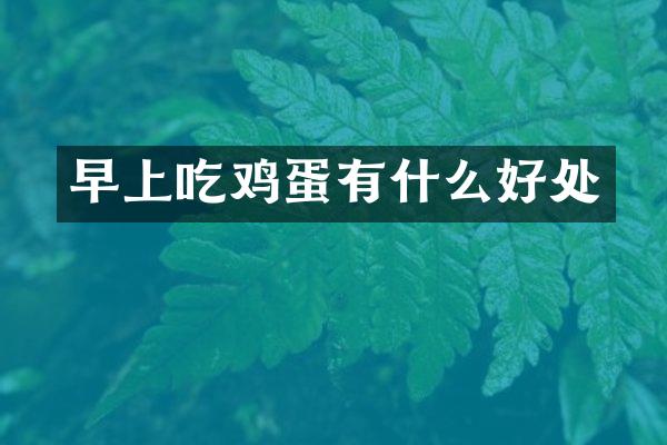 早上吃鸡蛋有什么好处