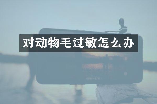 对动物毛过敏怎么办