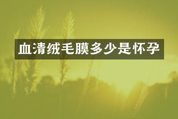 血清绒毛膜多少是怀孕