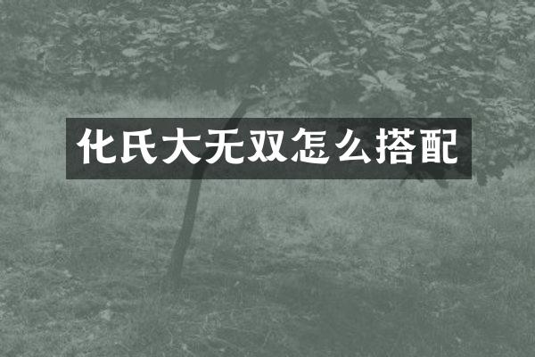 化氏大无双怎么搭配