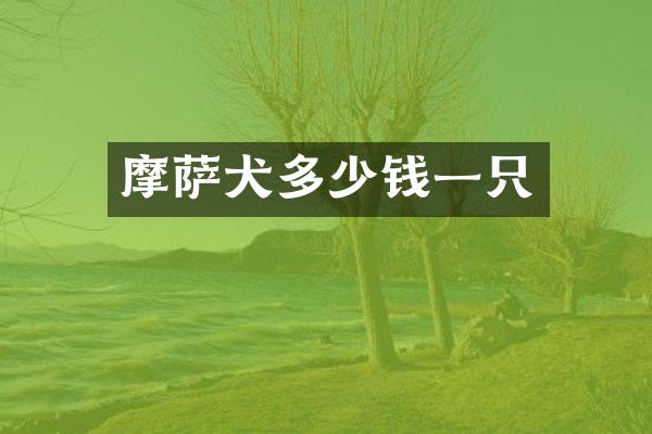 摩萨犬多少钱一只