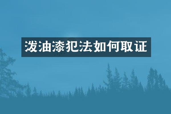 泼油漆犯法如何取证