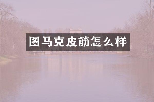图马克皮筋怎么样