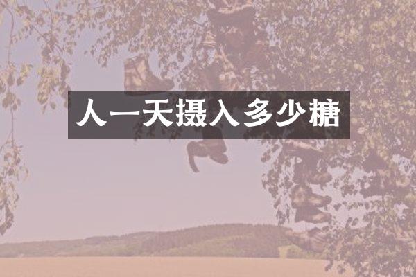 人一天摄入多少糖
