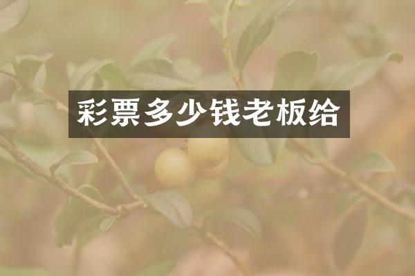 彩票多少钱老板给