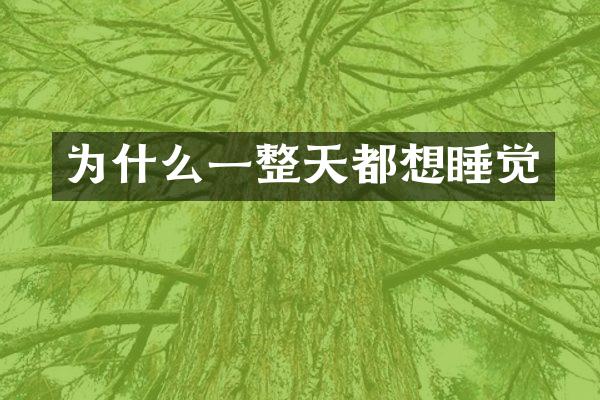 为什么一整天都想睡觉