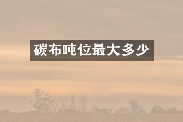 碳布吨位最大多少