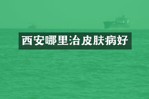西安哪里治皮肤病好