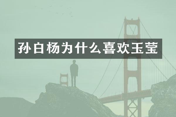 孙白杨为什么喜欢玉莹