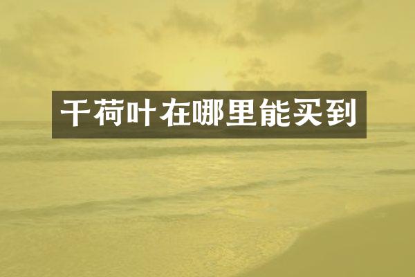 干荷叶在哪里能买到