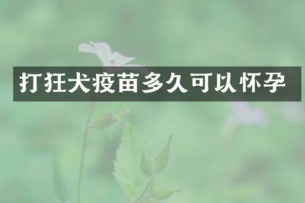 打狂犬疫苗多久可以怀孕