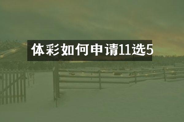 体彩如何申请11选5