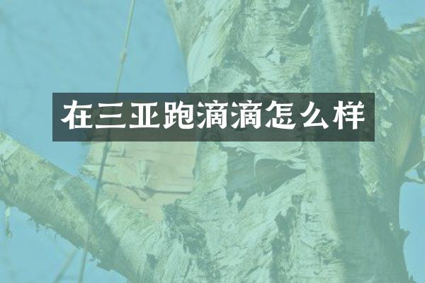 在三亚跑滴滴怎么样