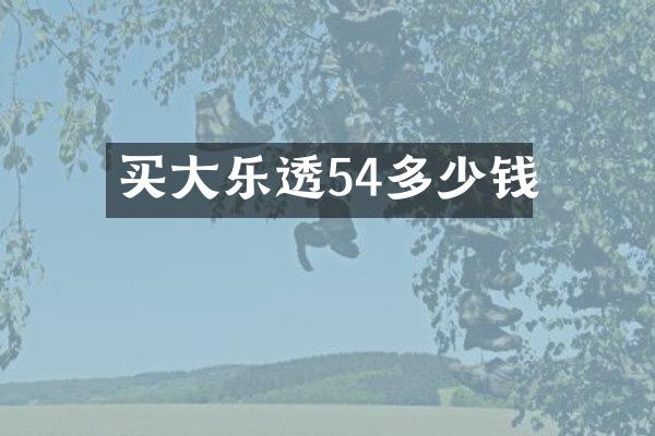 买大54多少钱