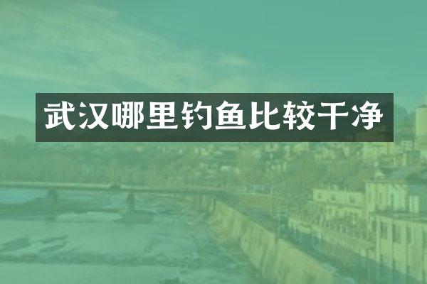 武汉哪里钓鱼比较干净
